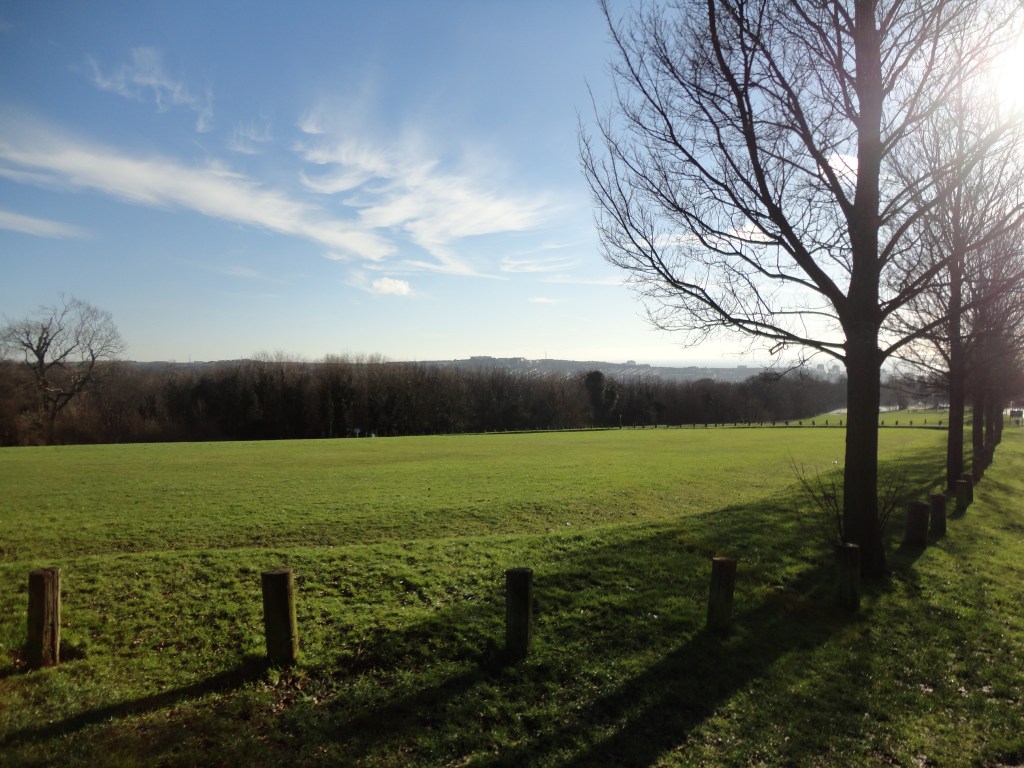 Copyright Lesley Agams