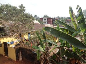 My Grandfather Had Many Children  Copyrigtt Lesley Agams