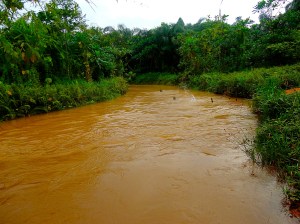 Njaba River Copyright Lesley Agams 2015